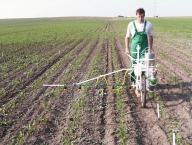 Aplikace herbicidů v pokusech s kukuřicí