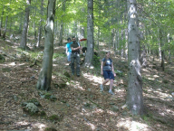 Hands-off Forests-Krkonoše