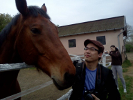 Work with Hungarian horse...