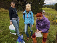 odchyty drobných zemních savců  za účelem biomonitoringu znečištění životního prostředí - Rakousko 2015