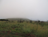 První cesta vedla do národního parku Pilanesberg, kde nás zaskočila mlha a nezvykle vlhké počasí. Ostatně, tolik vody v Africe nečekal nikdo, ani místní...