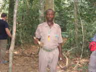"Forester" z NP Kakum