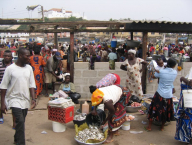 Rybí trh v Elmině
