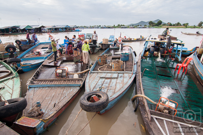 Fisherman on Tonle River